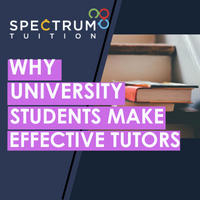 Why University Students Make Effective Tutors