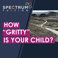 How “Gritty” Is Your Child?