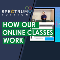 HOW OUR ONLINE CLASSES WORK