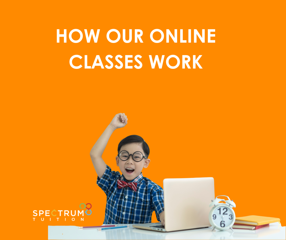 HOW OUR ONLINE CLASSES WORK