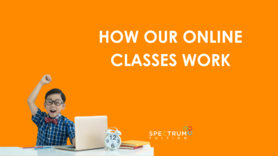 HOW OUR ONLINE CLASSES WORK